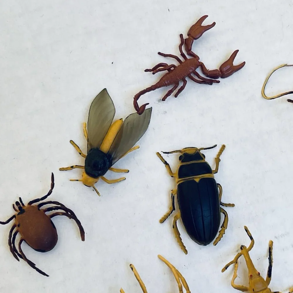 Insects Scorpion Fly Weevil Mantis Spider Grasshopper 11 Pieces 2in Vintage 1989
